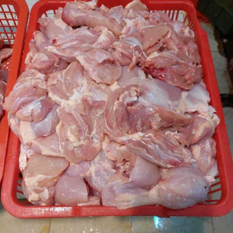 Ayam Fillet