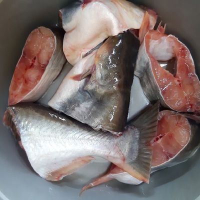 Patin Iris
