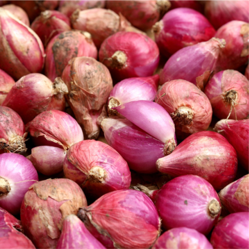 Bawang Merah Kulit