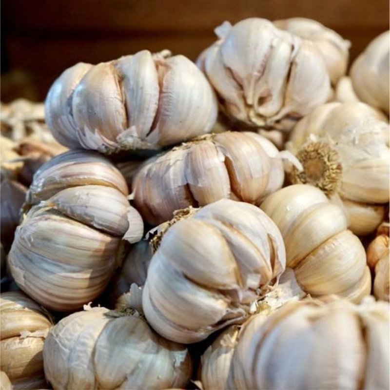 Bawang Putih Honan