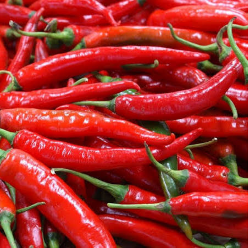 Cabai Merah Besar