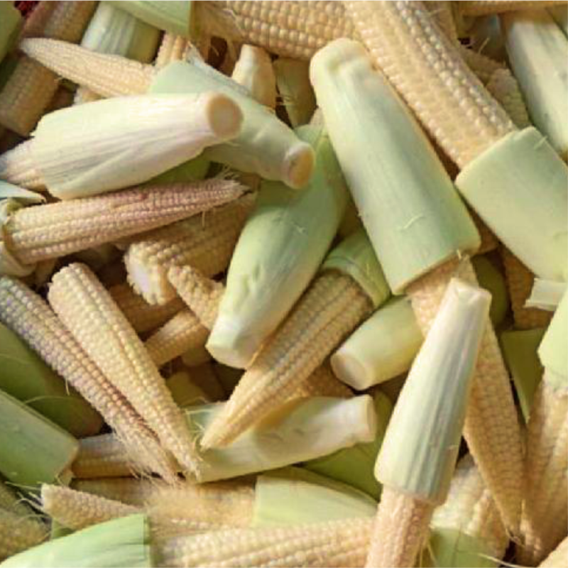 Jagung Muda / Putren