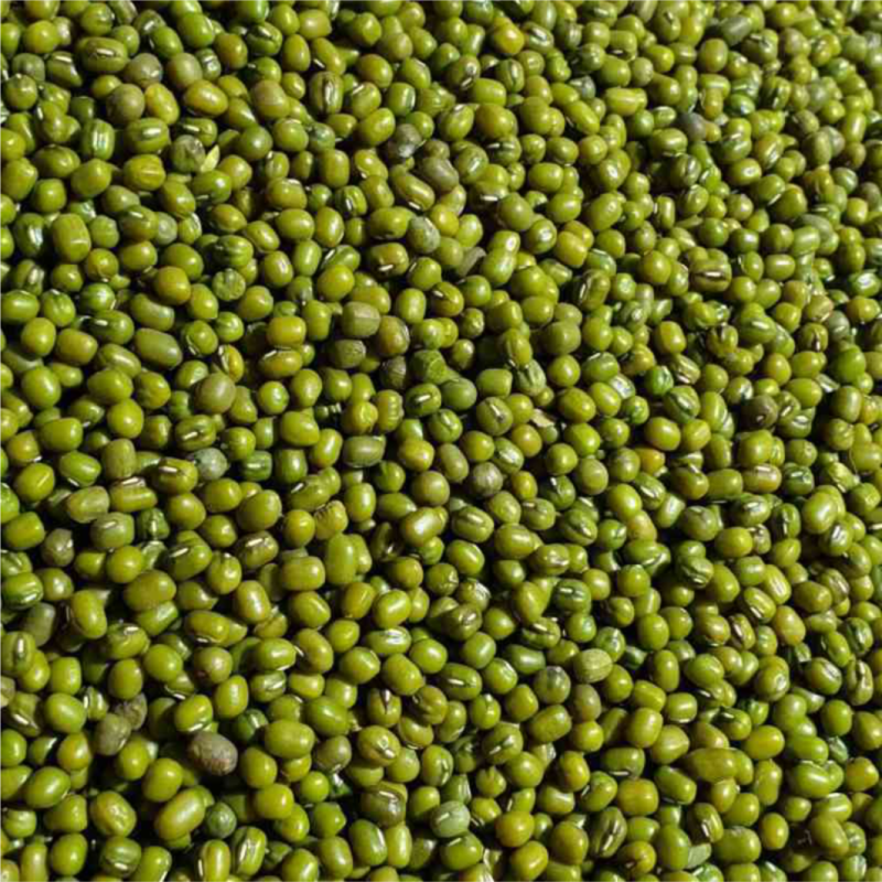 Kacang Hijau Mentah