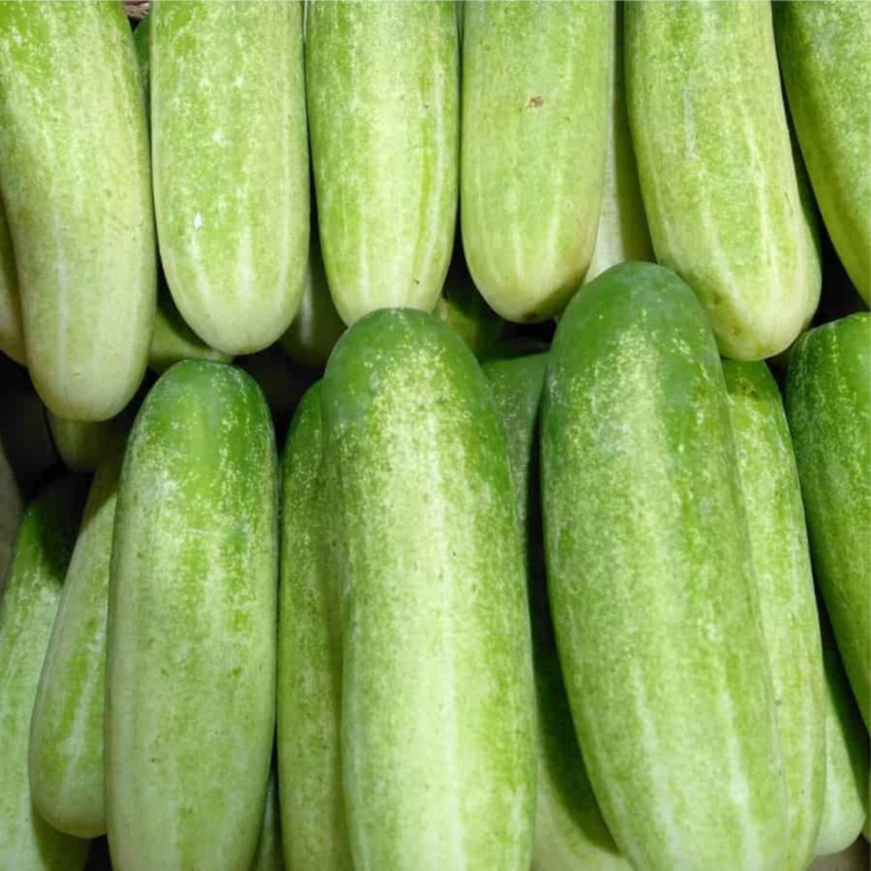 Timun Acar