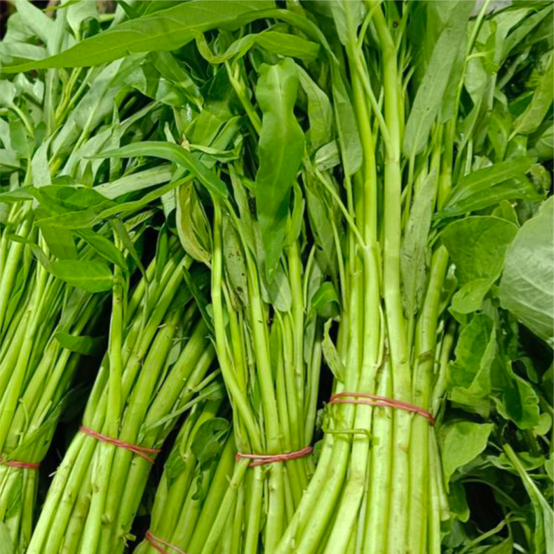 Kangkung